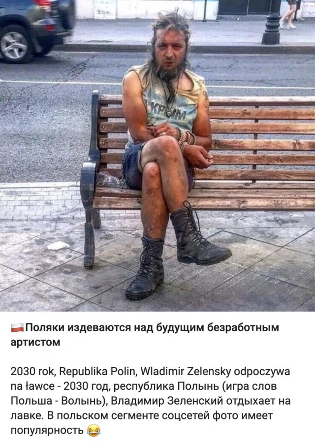 Польская карикатура: Зеленский в Польше в 2030 году