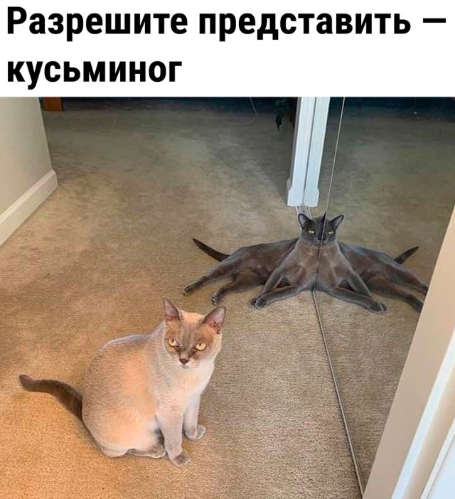 Так себе картинки 28.01.23