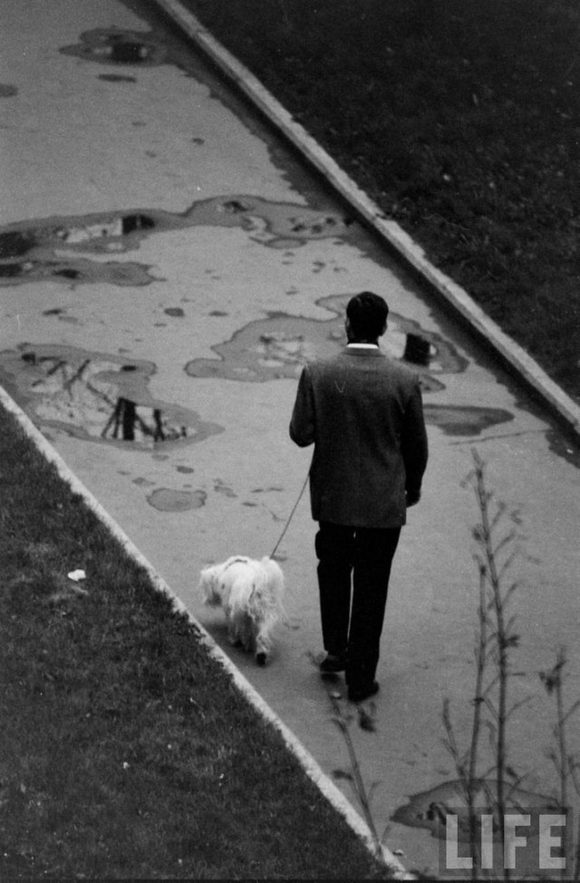 Москва и москвичи, 1962-1963 гг