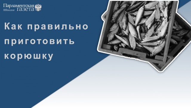 Победная поступь идиотизма по планете – том 12