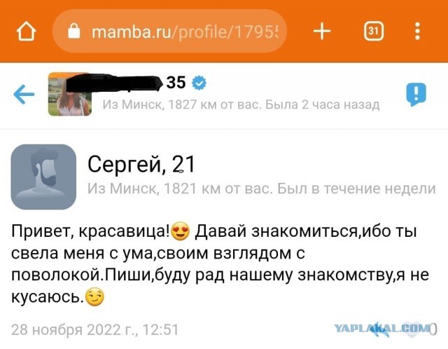 Почему бабы офигели