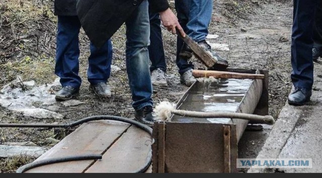Пенсионер на самодельном тракторе повезет 400 банок тушенки в зону СВО