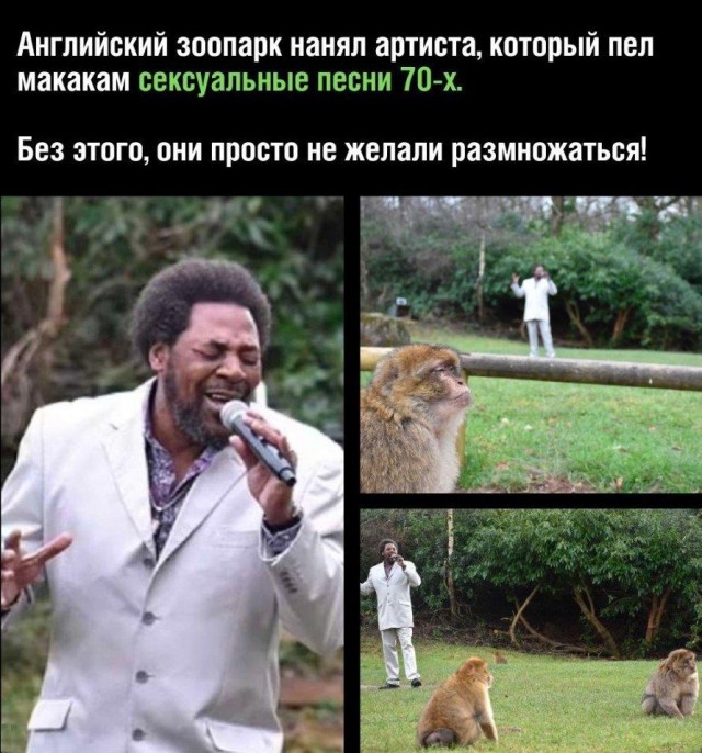 Картинки и мемы, всяко разно - 181