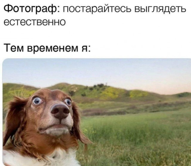 Всего понемногу. И снова пятничный.