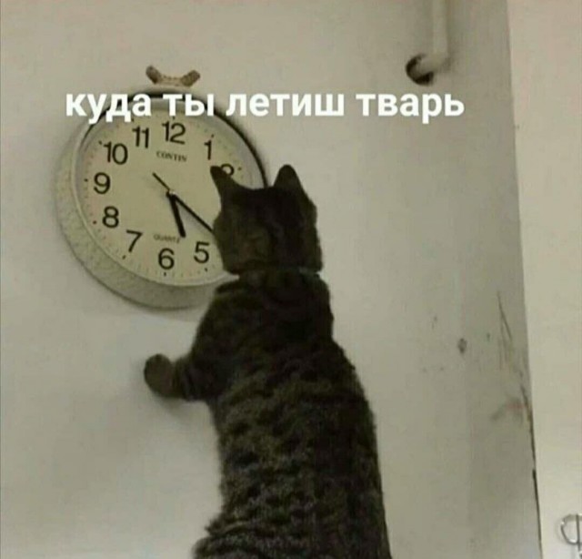А ведь 20 лет песне уже