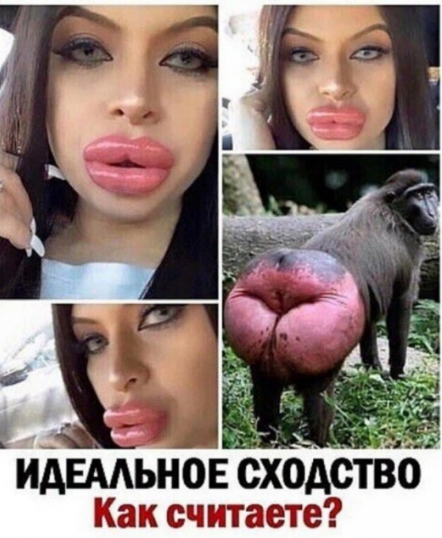 Уточка нырнула