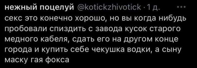 Картинки из Дристоля