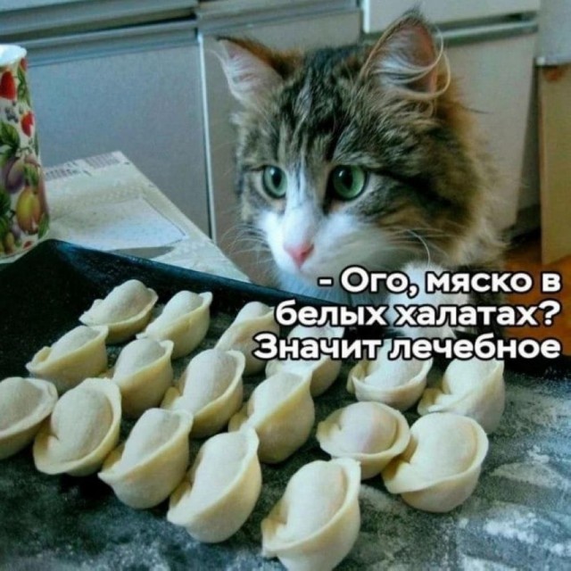 Отряд быстрого деградирования