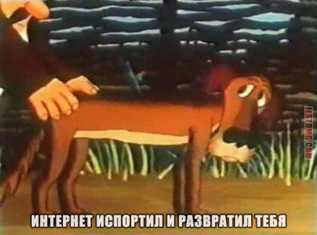 Бояны 6-ти летней выдержки