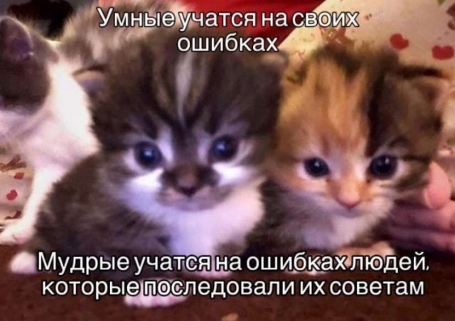 Всего понемногу. От 01.03.24