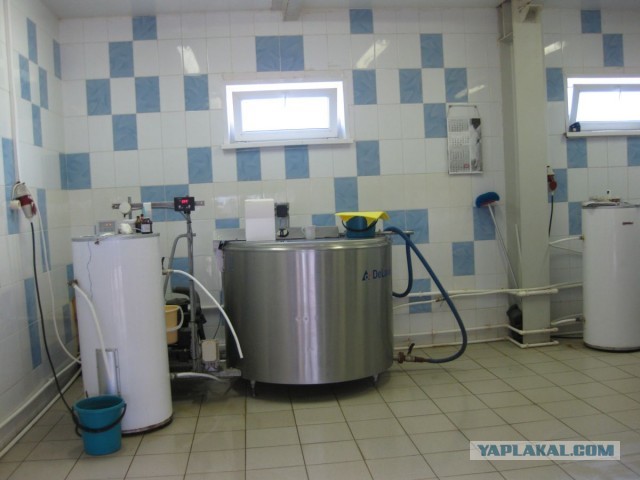 Массажный салон "Муму"