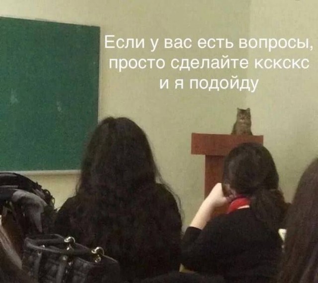 Так себе картинки 26.04.24