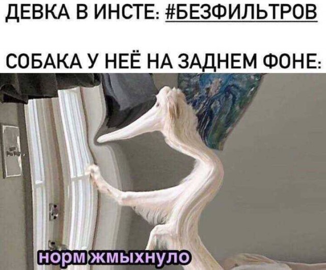 Немного мемчиков. Для взрослых. Часть 35