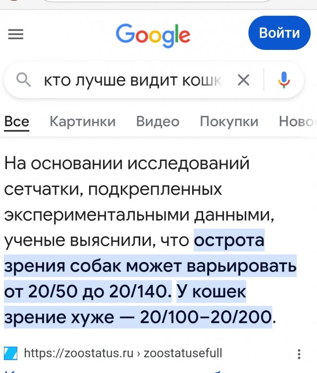 Восприятие собаки и кошки