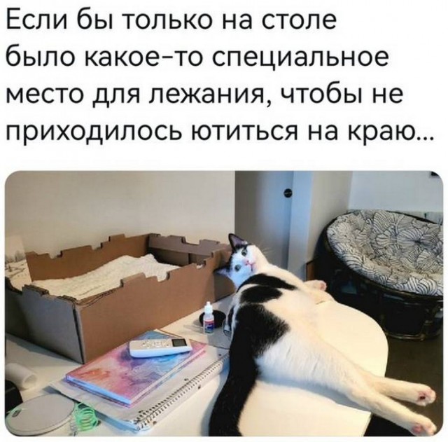 Картинки разные с надписями и без