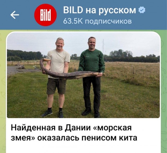 Когда не только ногу свело, а и голову