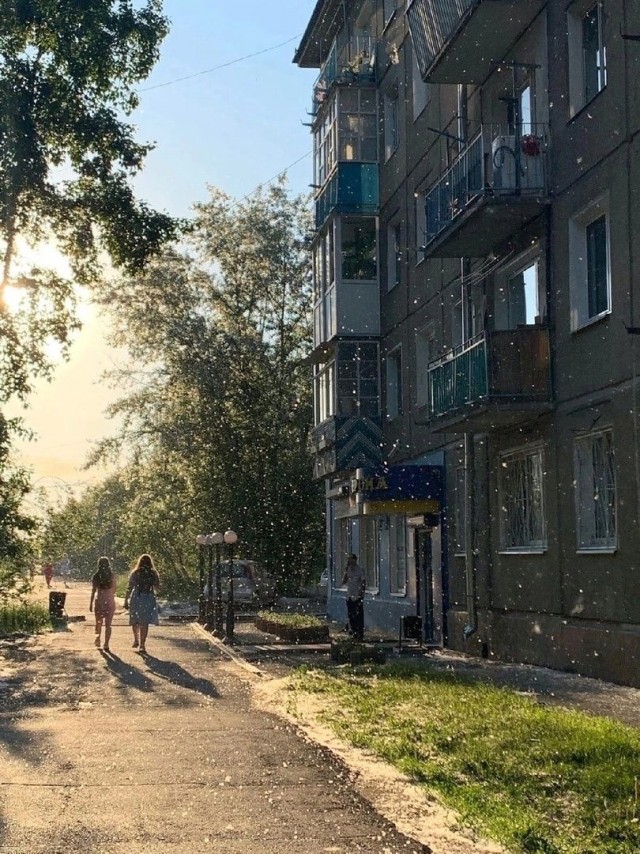 Прикольные и просто красивые картинки 24.09.2024