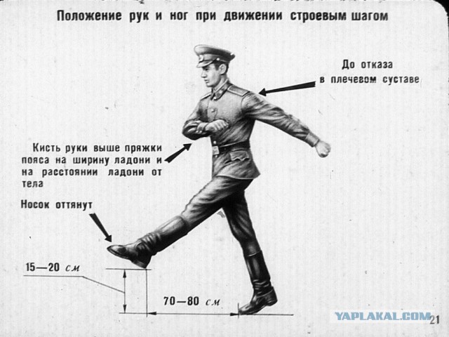 Депутаты готовят проект поправок в Административный кодекс. За выгул детей на четвереньках штраф составит от 1000 до 5000 рублей