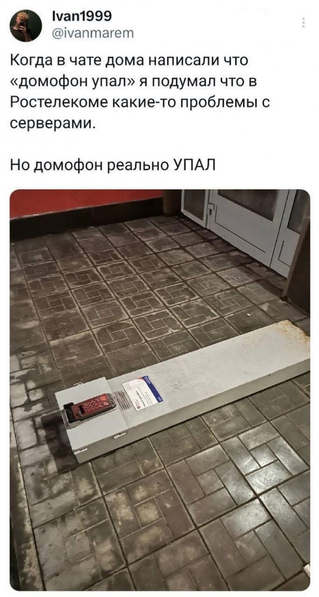 Веселые картинки к пятнице (29.11)