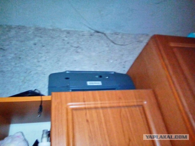 Плюшкинство - откуда это?⁠⁠