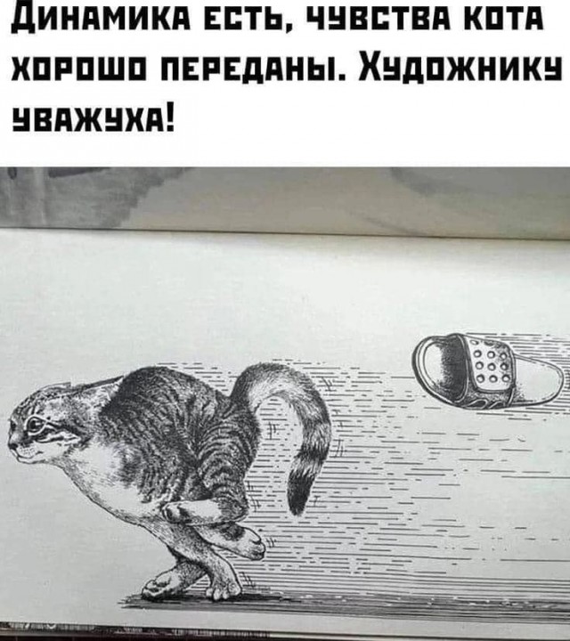 Так себе картинки 09.01.25