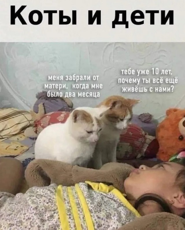 Завалялось тут случайно немного забавных картинок
