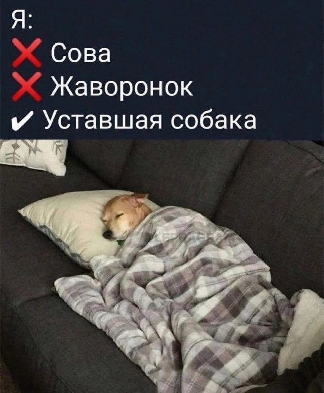 Так себе картинки 20.02.25