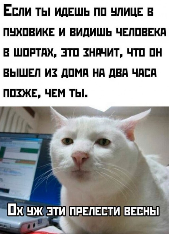 Так себе картинки 18.03.25