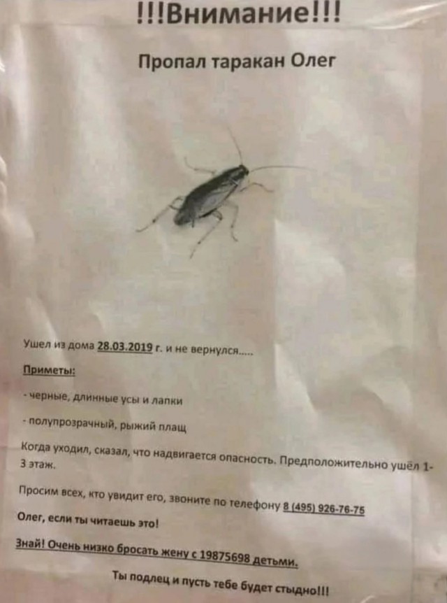 Юмор и порой философия в картинках с буквами за вторник