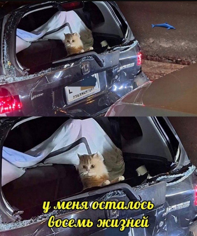 Так себе картинки 28.05.25