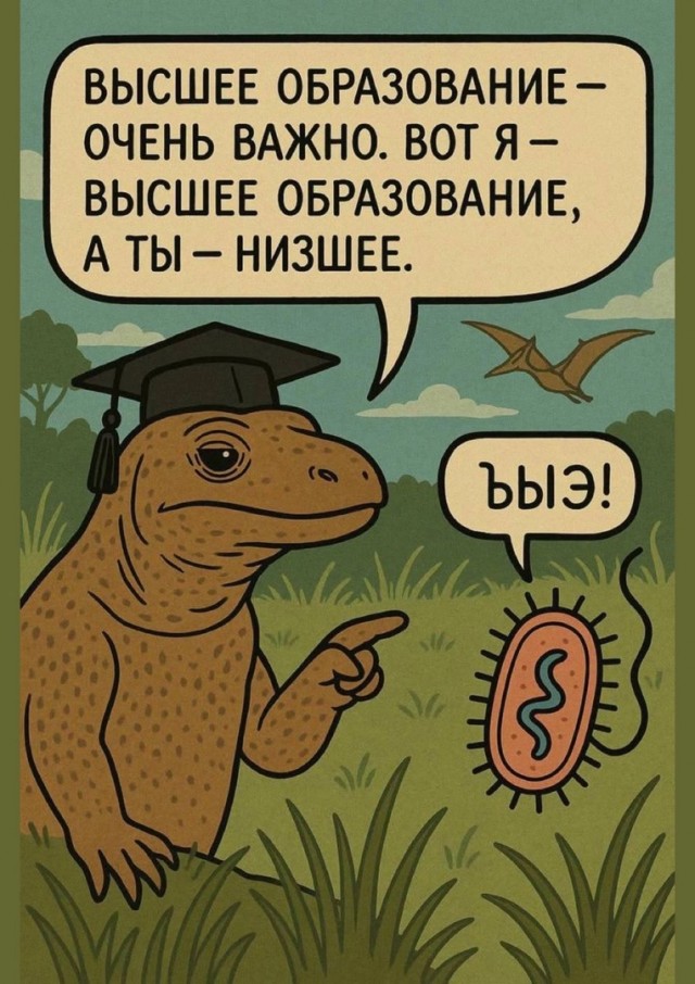 Так себе картинки 04.06.25