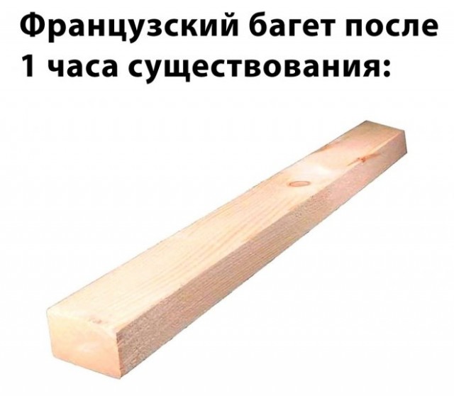 Веселые картинки в маленькую пятницу (11.06)