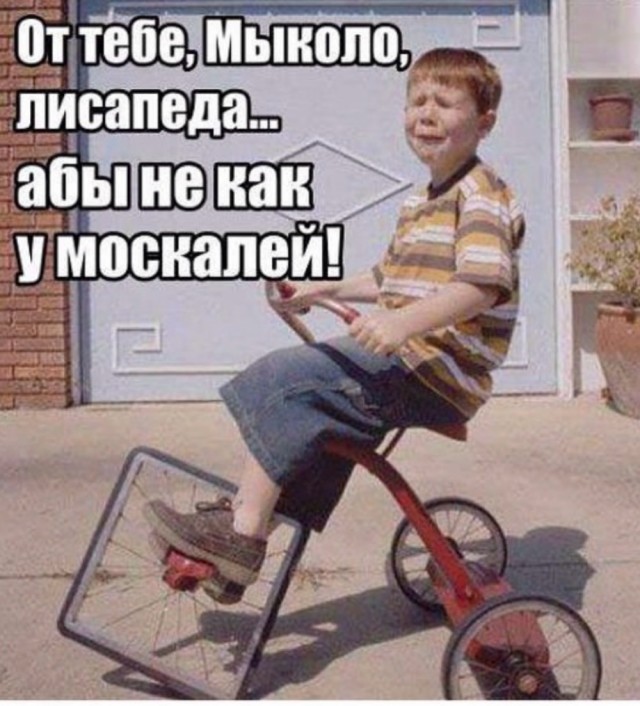 Веселое настроение в картинках (10.07.25)