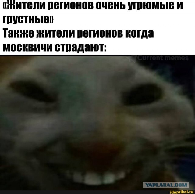 Вода поднялась уже почти до потолка в переходе на станции «Павшино» в Подмосковье