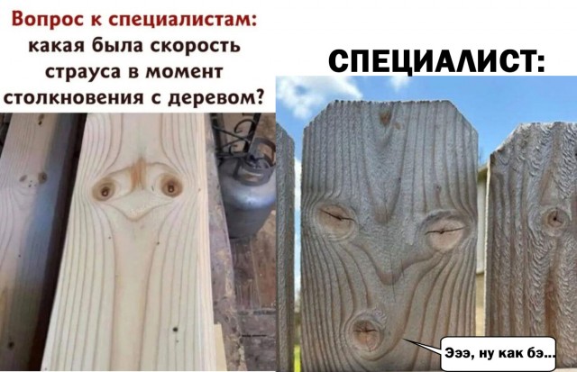 Картинки для деградации 44 (разной степени свежести)
