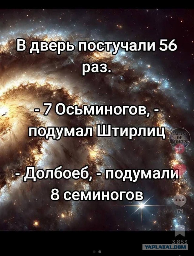 Всемирный день осьминога