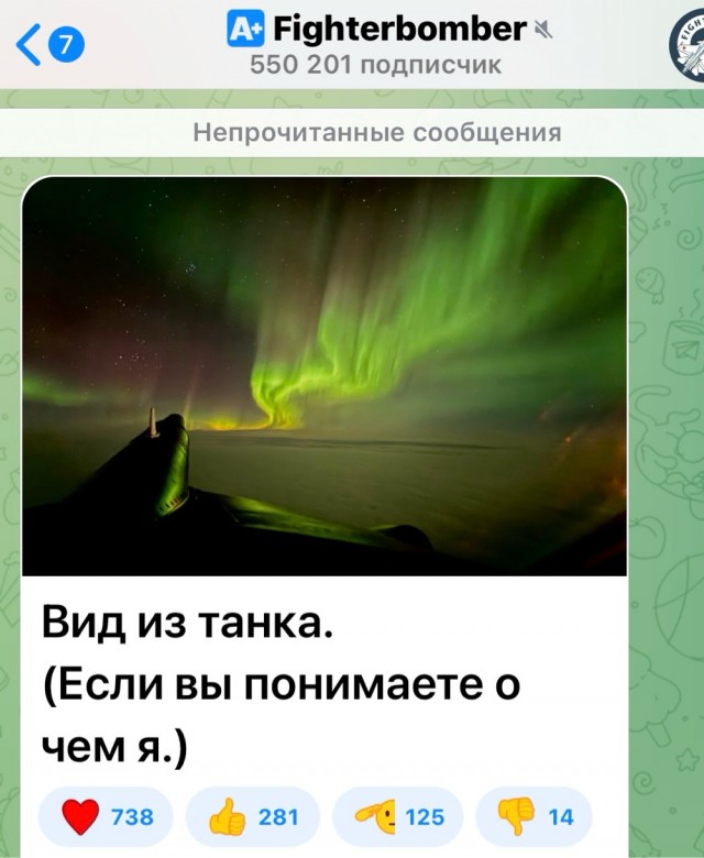 Медведь смотрит на северное сияние