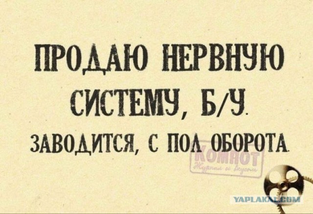 Веселые картинки в пятницу (07.11)