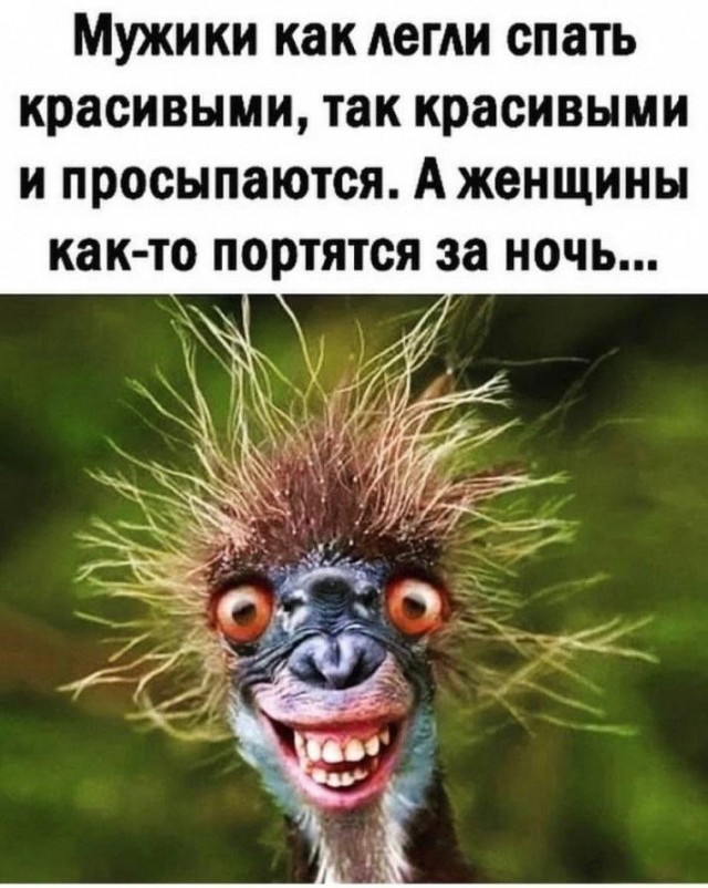 Воскресные картинки