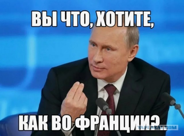 Что будет, если сбил дикое животное?