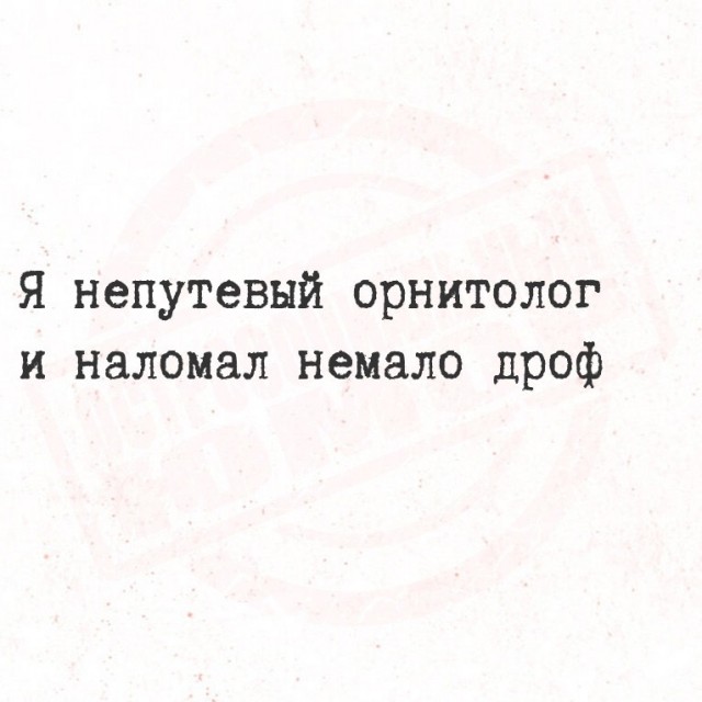 Среды картинки