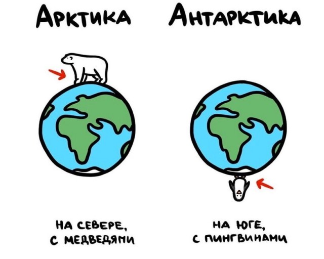 Арктика и Антарктика