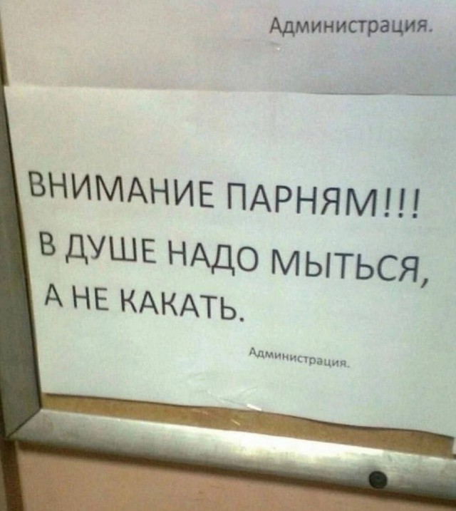 Картинки для деградации 203  (разной степени свежести)