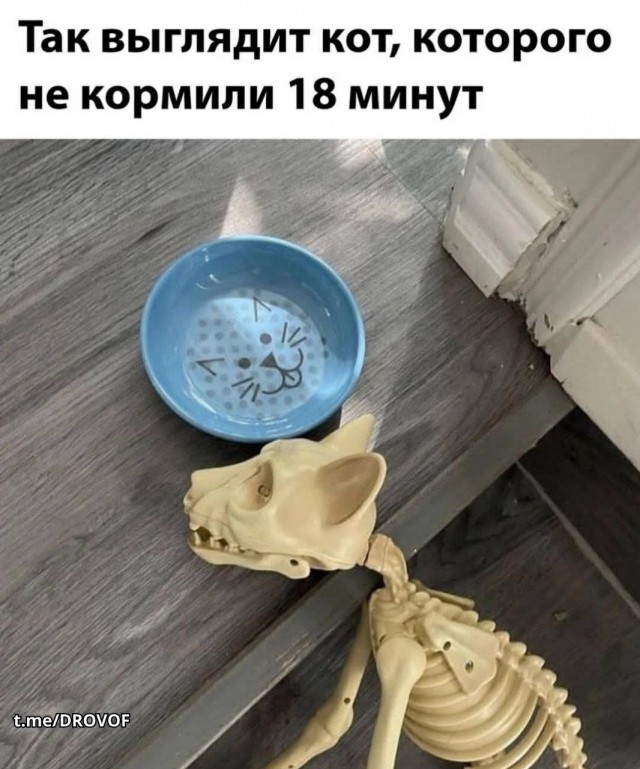 Разные картинки 03.08.26