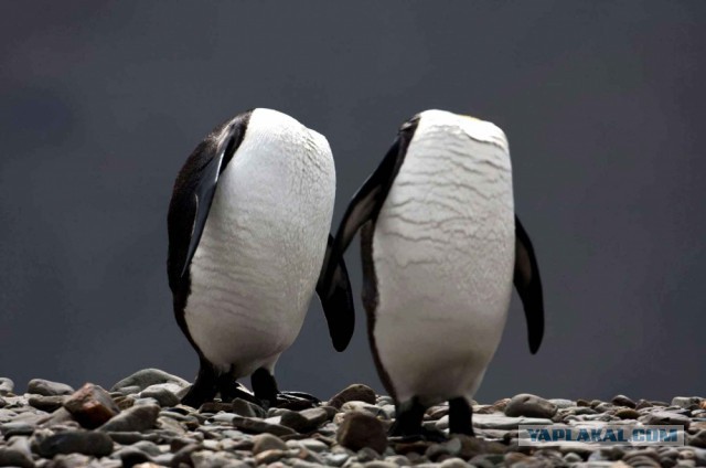 28 самых удачных кадров февраля