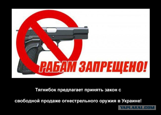 Свободное ношение оружия в Украине