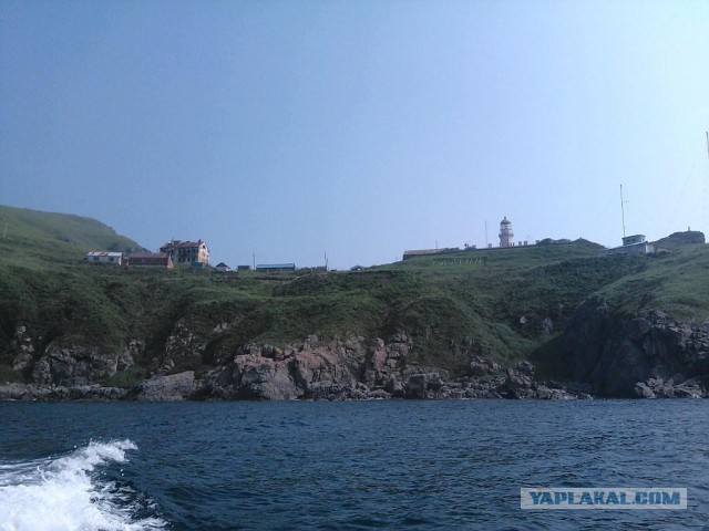 Природа Приморского края