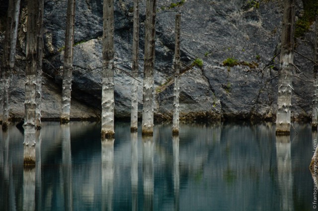 Озеро Каинды - Утонувший лес