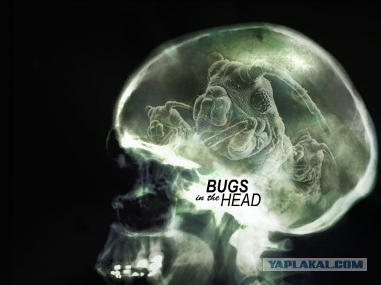 Если это не фейк...