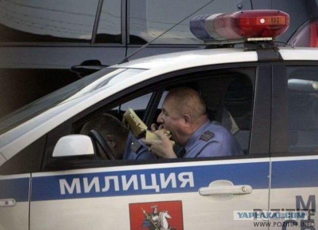 Улыбнуло